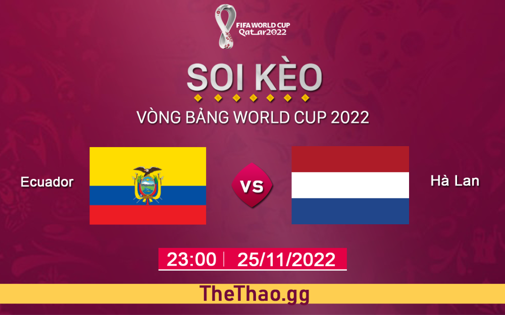 Nhận định, soi kèo Ecuador vs Hà Lan, ngày 25/11 - Bảng A World Cup 2022