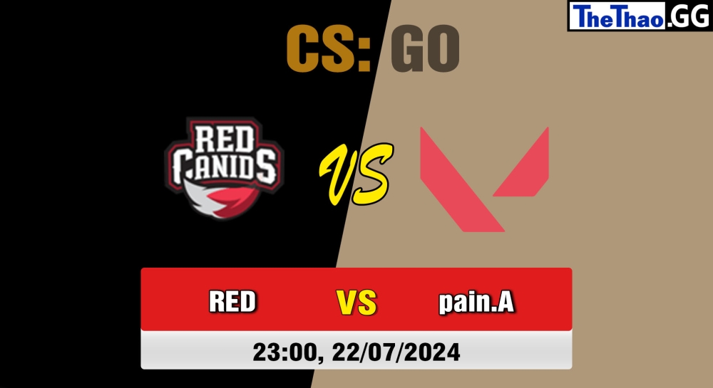 Cá cược CSGO, nhận định soi kèo RED Canids vs paiN Gaming Academy  - Circuito Estadual FERJEE 2024.